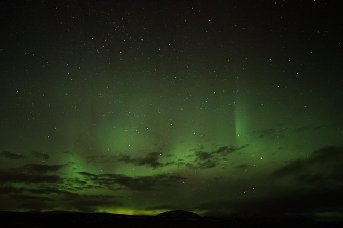Chasing Aurora Borealis with Warmth and Treats in Premium Tour! - Warm drinks, Icelandic pastries, and the cold factor
