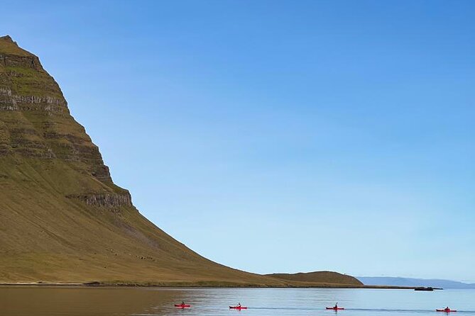 Classic Kayaking Adventure by Mt. Kirkjufell - Seals, puffins, and the chance wildlife brings