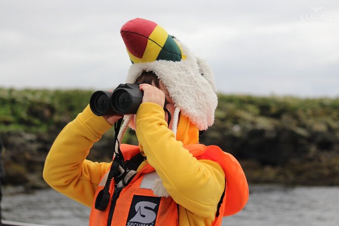 Classic Puffin Watching Cruise from Downtown Reykjavík - Who Will Enjoy This Cruise Most?