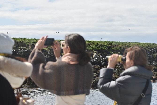 Classic Puffin Watching Cruise from Downtown Reykjavík - Why the Season Makes a Difference