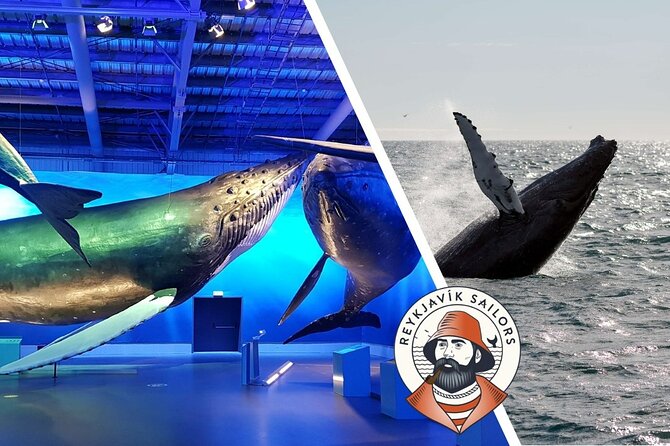 Deluxe Whale Watching and Whales of Iceland Exhibition Combo from Reykjavik - Warm clothing and the right place to watch