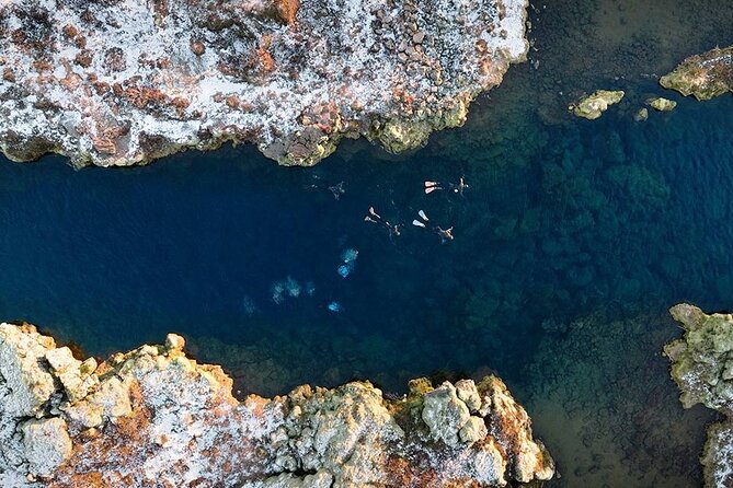 Dive the Divide: Silfra Fissure Scuba Tour | Meet at Thingvellir - Is the $296.41 price fair?