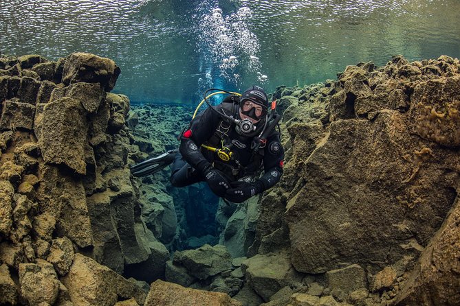 Dive the Divide: Silfra Fissure Scuba Tour | Reykjavik Pickup - Important rules that can affect your booking