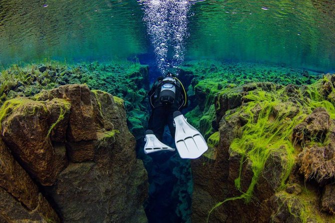 Dive the Divide: Silfra Fissure Scuba Tour | Reykjavik Pickup - From Reykjavik to Thingvellir National Park