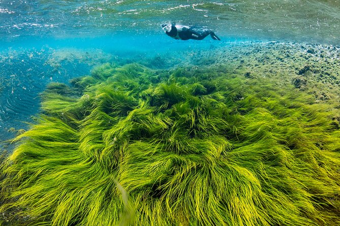 Double Snorkeling Adventure near Húsavík in North Iceland - Key points at a glance