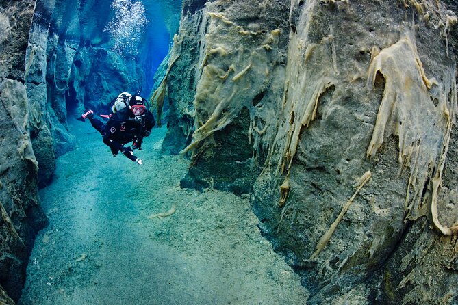 Double Snorkeling Adventure near Húsavík in North Iceland - Is $274 a fair price?