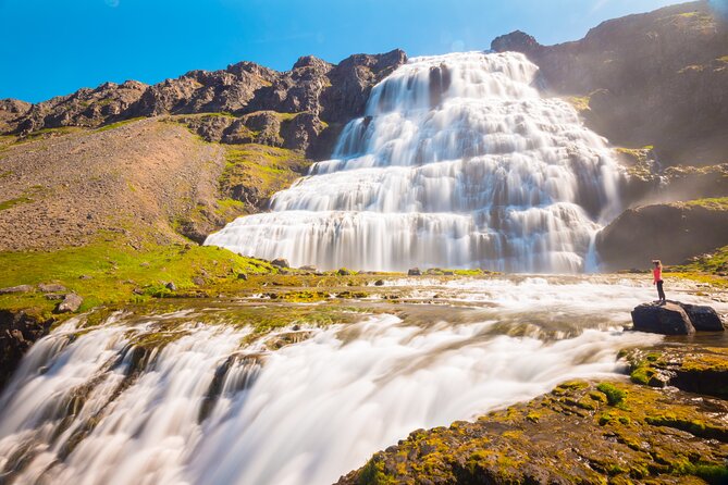 Dynjandi Waterfall & Iceland Farm Visit Tour - What $149 includes, and what it does not