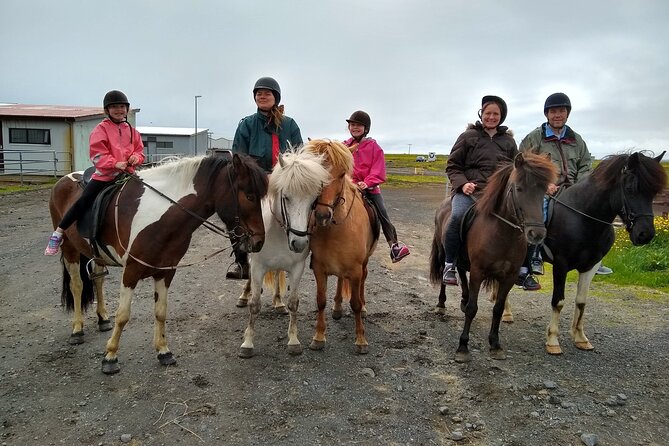 Experience Countryside of Iceland by Horseback Riding - Who should book this ride?