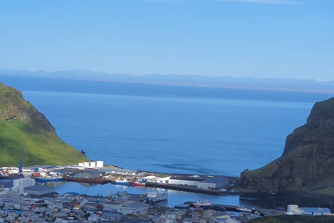 Eyjascooter Puffin Tour in Iceland - What the guides add to the experience