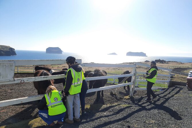 Eyjascooter volcano tour in Westman Island - Getting comfortable on the Kaabo Wolf Warrior 11