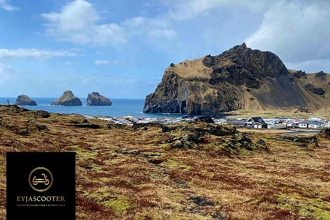 Eyjascooter volcano tour in Westman Island - Puffins close to shore