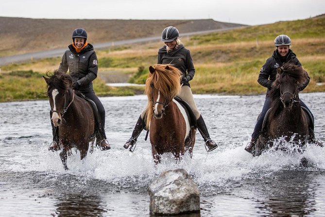 Family Friendly Horse Riding Tour in Skagafjörður - Arriving at Hestasport in Varmahlíð