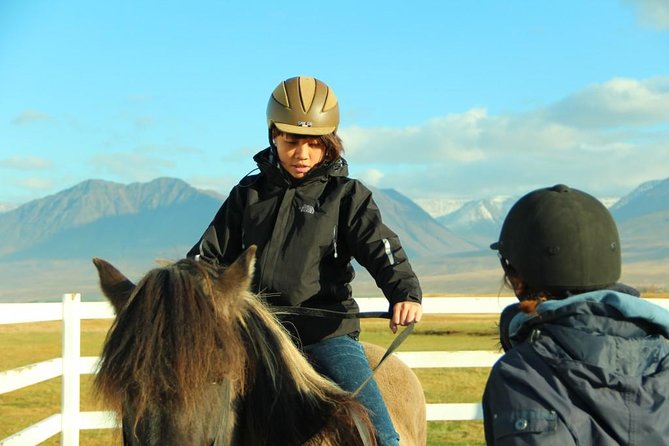 Family Friendly Horse Riding Tour in Skagafjörður - One hour on horseback, step by step
