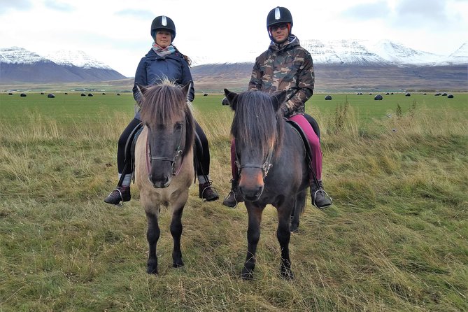 Family Friendly Horse Riding Tour in Skagafjörður - Why the small group improves the ride