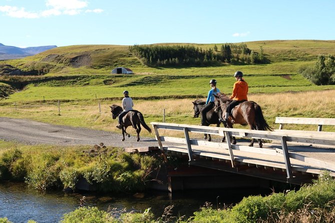 Family Friendly Horse Riding Tour in Skagafjörður - A good choice for families and first-time riders