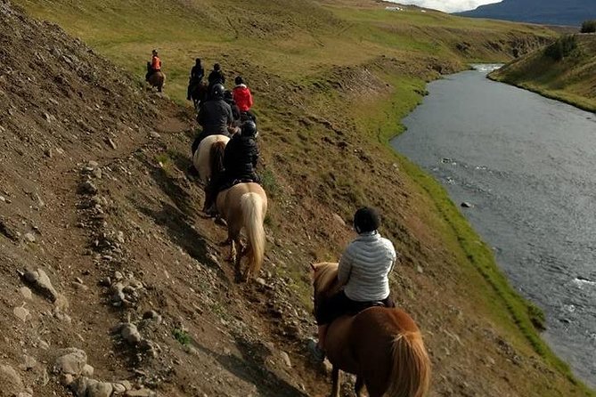 Family Friendly Horse Riding Tour in Skagafjörður - Weather, comfort, and practical limits