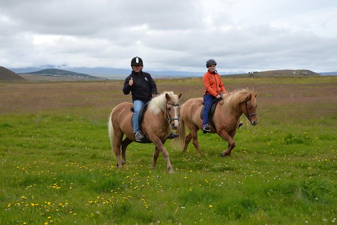 Family Friendly Horse Riding Tour in Skagafjörður - Getting ready for the horses