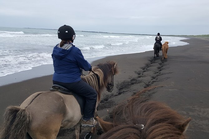 Family Horse Riding Tour in Thorlakshofn - Strandakirkja and the Ocean Cliffs