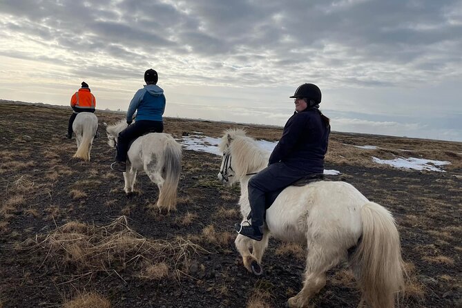 Family Horse Riding Tour in Thorlakshofn - What the Price of $180 Includes