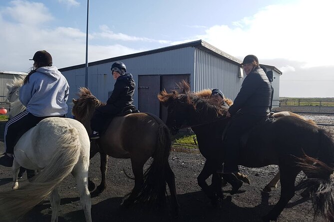 Family Horse Riding Tour in Thorlakshofn - How Difficult Is the Four-Hour Ride?