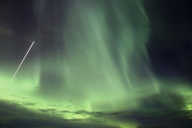 Forest Lagoon and Northern Lights Guided Night Tour - Key points at a glance