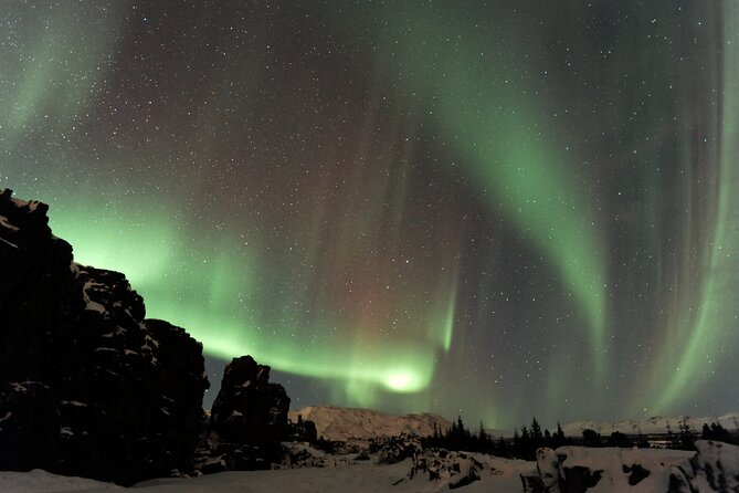 Forest Lagoon and Northern Lights Guided Night Tour - Why this Akureyri evening works so well