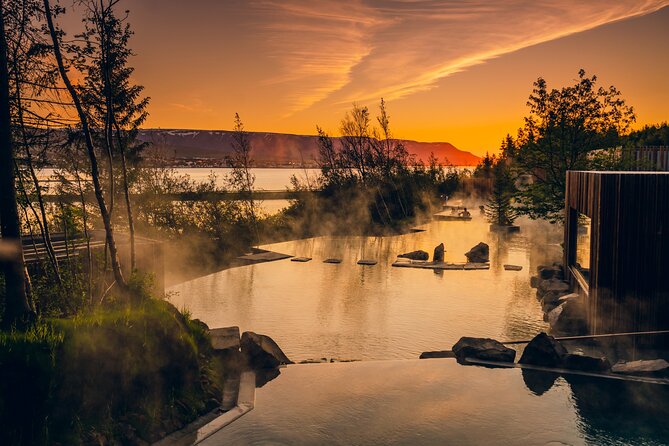Forest Lagoon and Northern Lights Guided Night Tour - From warm water to Eyjafjardarsveit