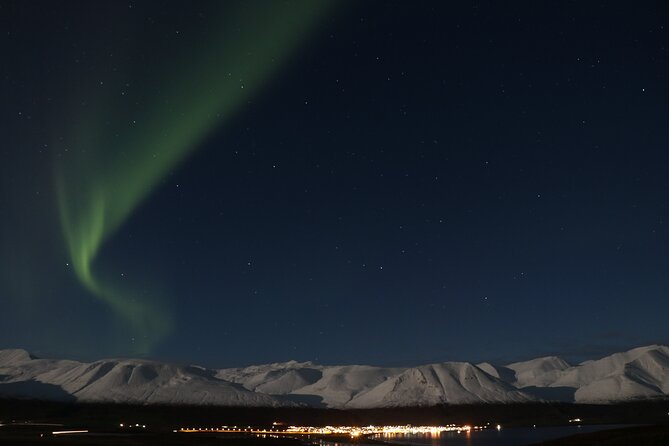 Forest Lagoon and Northern Lights Guided Night Tour - What guides such as Sigi add