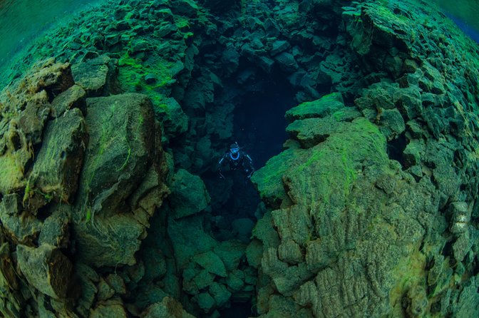 Freedive Silfra Half Day Tour - Cold water and wetsuit expectations