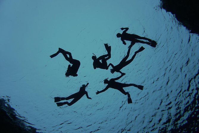 Freedive Silfra Half Day Tour - Why the guide makes a difference