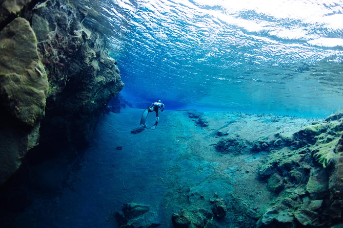 Freedive Silfra Half Day Tour - Who will enjoy this most