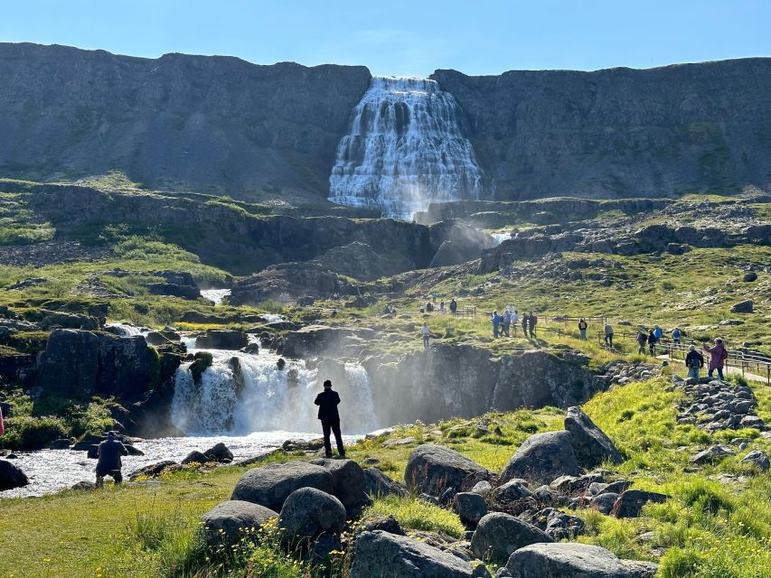 From Isafjordur: Dynjandi Waterfall Guided Day Trip by Bus - Is the $82 price good value?