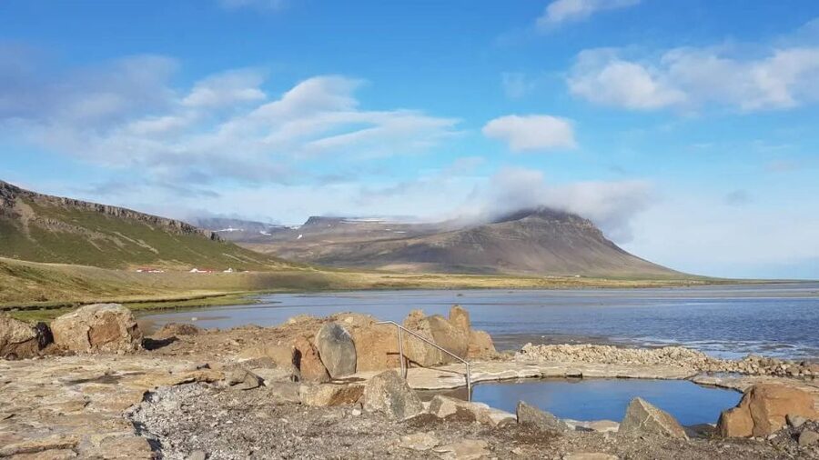 From Reykjavík: 3-Day Tour of the Wild Westfjords - Day two: Látrabjarg birds and the colors of Rauðasandur