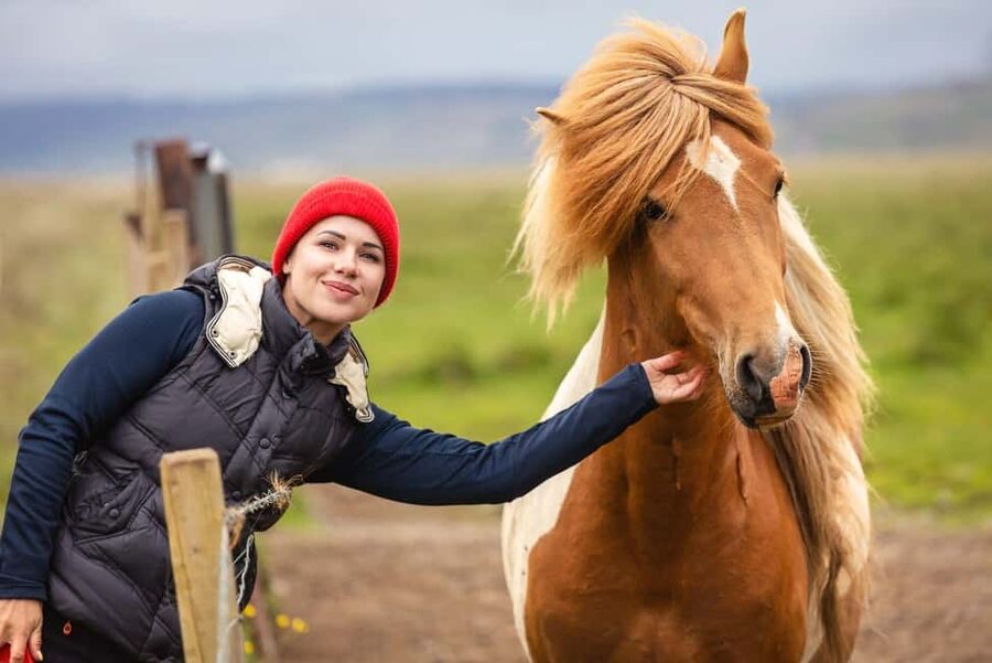 From Reykjavík: Best of Iceland 6-Day Stopover Tour - Key points to know before booking
