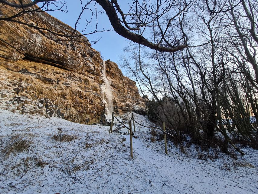 From Reykjavik: Explore the Waterfalls of the South Coast - From Reykjavik to Thorstein’s Grove