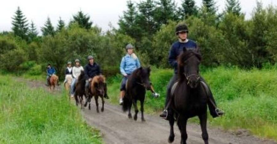 From Reykjavik: Full-Day Horse Riding & Golden Circle Tour - Þingvellir: geology and parliament in one stop