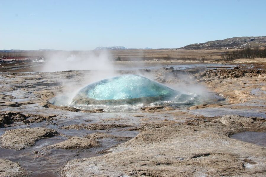 From Reykjavik: Full-Day Horse Riding & Golden Circle Tour - Who will enjoy this day most