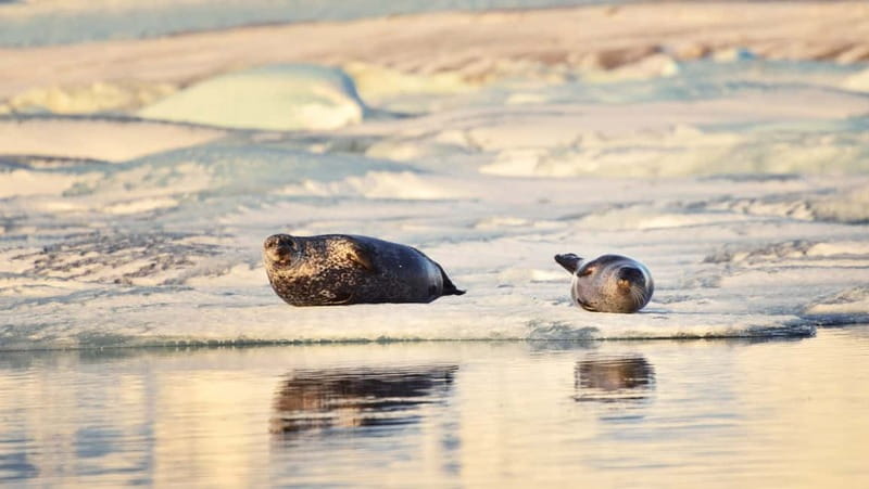 From Reykjavik: Glacier Lagoon and Fjaðrárgjúfur Canyon Tour - Why Jökulsárlón is worth such a long day