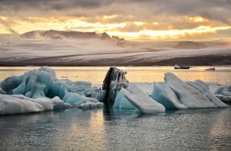From Reykjavik: Glacier Lagoon and Fjaðrárgjúfur Canyon Tour - Fjaðrárgljúfur Canyon in the summer