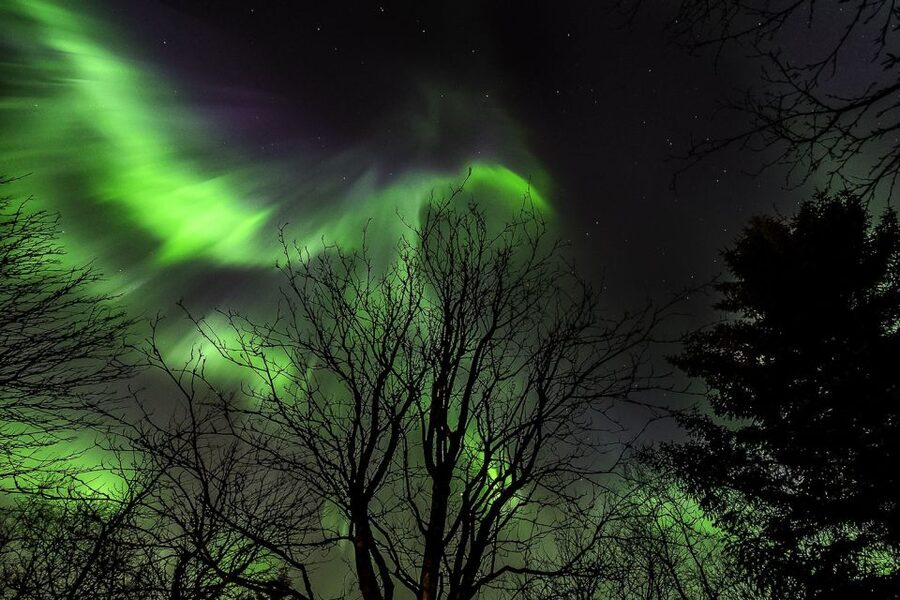From Reykjavik: Golden Circle and Northern Lights Tour - Guides, coaches, and the feel of the day