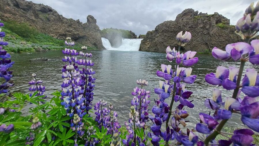 From Reykjavik: Highlands Jeep Tour & Landmannalaugar Hike - Háifoss and Granni reveal the force of old eruptions