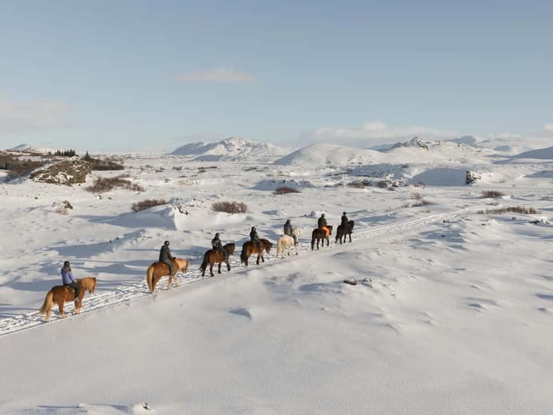 From Reykjavík: Icelandic Horse Riding Tour in Lava Fields - Riding through Hafnarfjörður’s lava fields