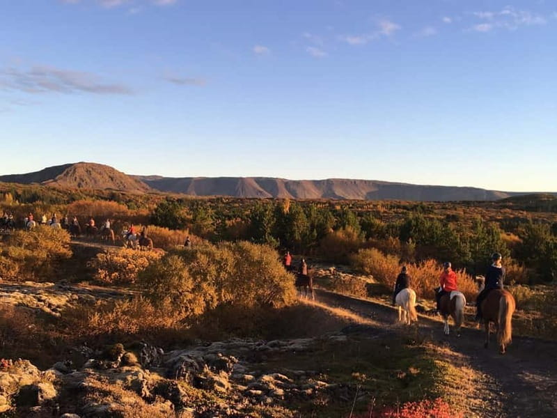 From Reykjavík: Icelandic Horse Riding Tour in Lava Fields - Small details that improve the day