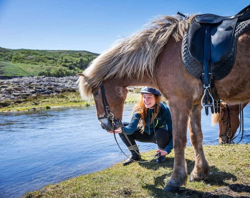 From Reykjavík: Icelandic Horse Riding Tour in Lava Fields - What happens before you ride