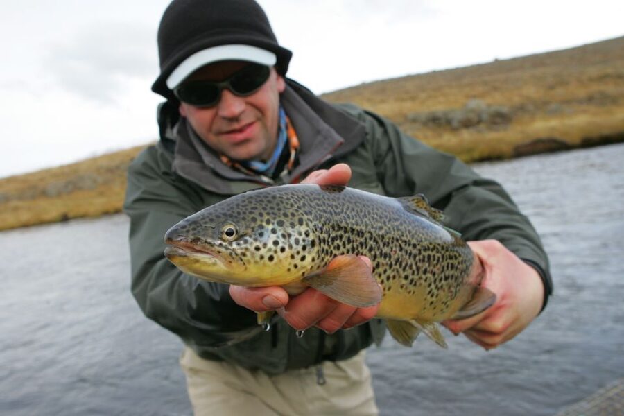 From Reykjavik: Lake and River Fishing Tour - Five to six hours beside an Icelandic river or lake