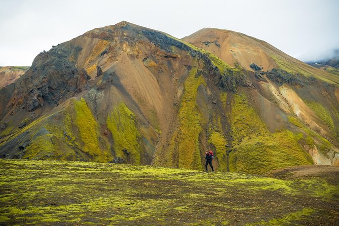 From Reykjavík: Landmannalaugar Hiking Day Tour - Price and What You Get for $218.98