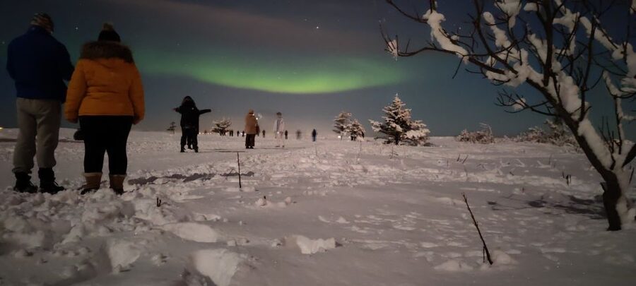 From Reykjavik: Northern Lights Chase with Expert Guide - The key points before you book