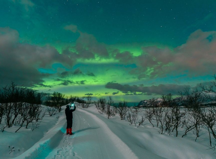 From Reykjavik: Northern Lights Chase with Expert Guide - Should you book this Northern Lights tour?