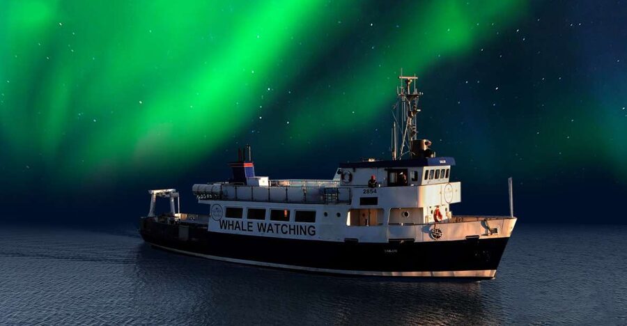 From Reykjavik: Northern Lights Sightseeing Cruise - Key points to know before you sail