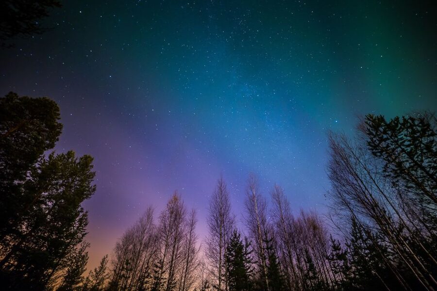 From Reykjavik: Northern Lights Tour - What the Aurora can look like